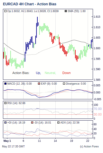 Action Bias 4h small